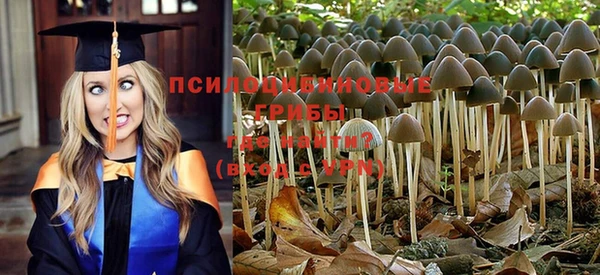 экстази Новозыбков