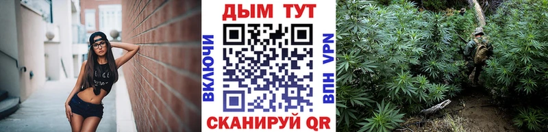 закладки  Калач-на-Дону  Канабис THC 21% 